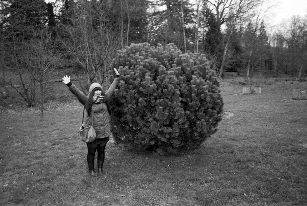 photo_13